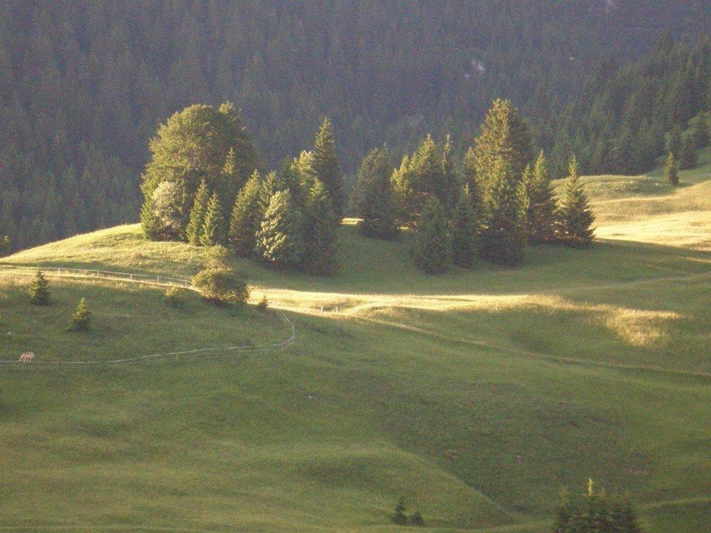 Alpenhof "Alt Laehn" Hotel Buitenkant foto